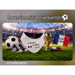 Coffret bavoir coupe du...