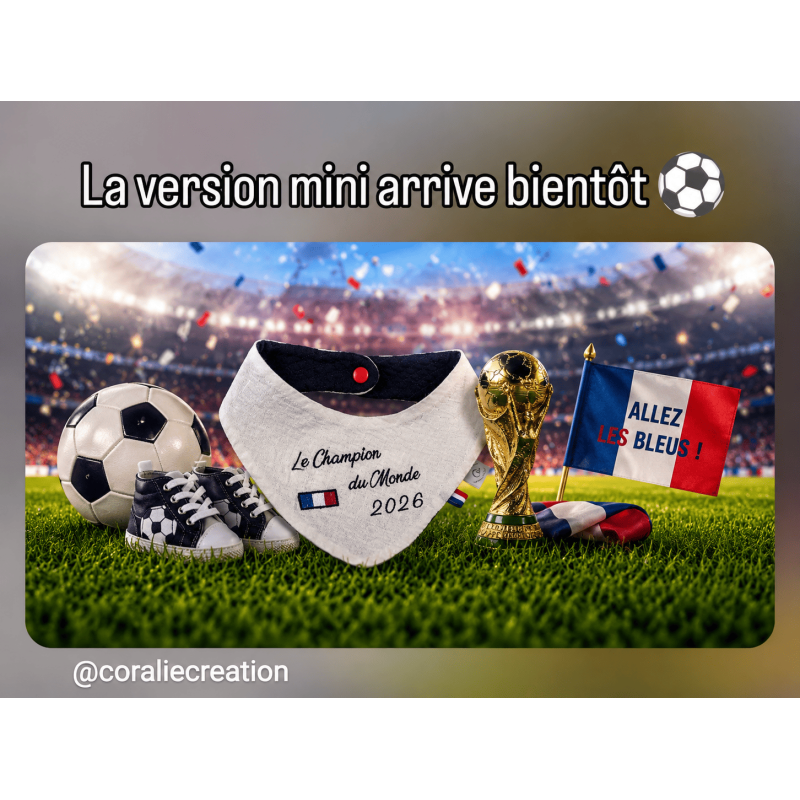 Coffret bavoir coupe du monde de foot