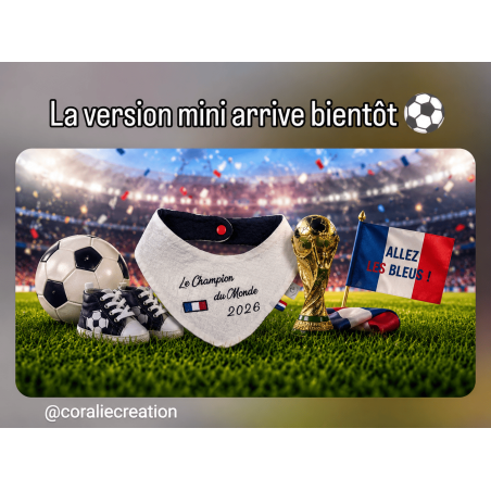 Coffret bavoir coupe du monde de foot