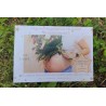 Pack de grossesse